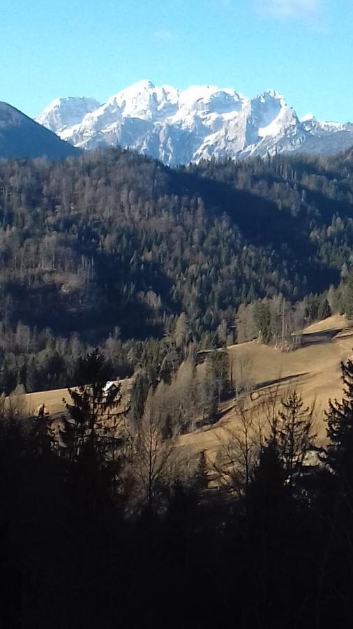 Ferienwohnung Apartma Podlogar Golica Triglav Jesenice Exterior foto